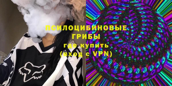 таблы Козельск