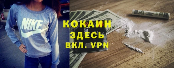 таблы Козельск
