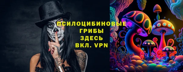 прущие крисы Киренск