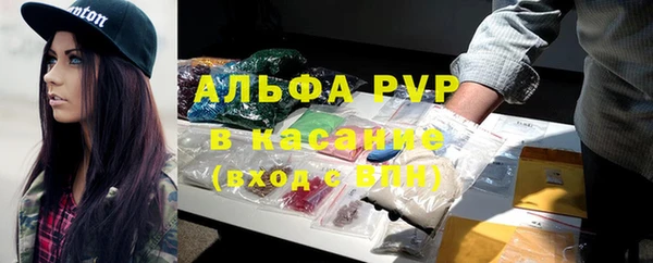 прущие крисы Киренск