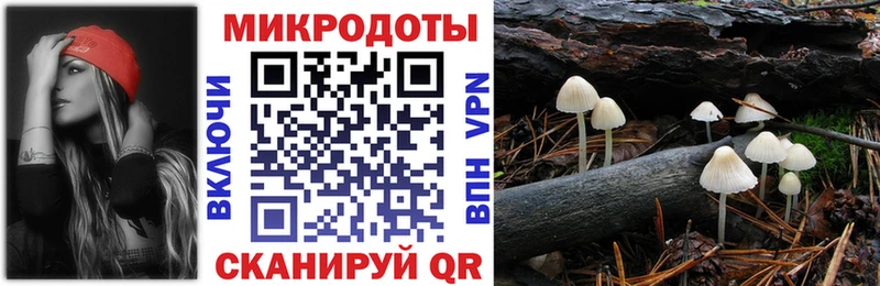 Галлюциногенные грибы Psilocybe Купить Донецк